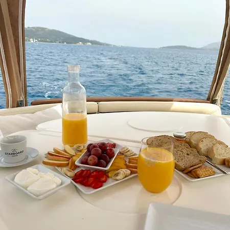 Starboard Charter 船上ホテル